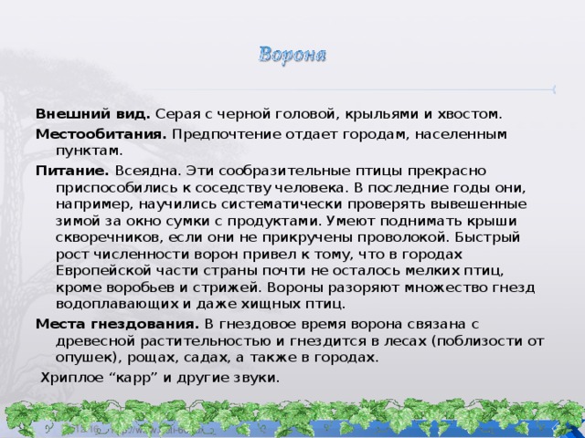 Внешний вид. Серая с черной головой, крыльями и хвостом. Местообитания. Предпочтение отдает городам, населенным пунктам. Питание. Всеядна. Эти сообразительные птицы пpeкрасно приспособились к соседству человека. В последние годы они, например, научились систематически проверять вывешенные зимой за окно сумки с продуктами. Умеют поднимать крыши скворечников, если они не прикручены проволокой. Быстрый рост численности ворон привел к тому, что в городах Европейской части страны почти не осталось мелких птиц, кроме воробьев и стрижей. Вороны разоряют множество гнезд водоплавающих и даже хищных птиц. Места гнездования. В гнездовое время ворона связана с древесной растительностью и гнездится в лесах (поблизости от опушек), рощах, садах, а также в городах.  Хриплое “карр” и другие звуки. 24.12.16  http://www.deti-66.ru/ 