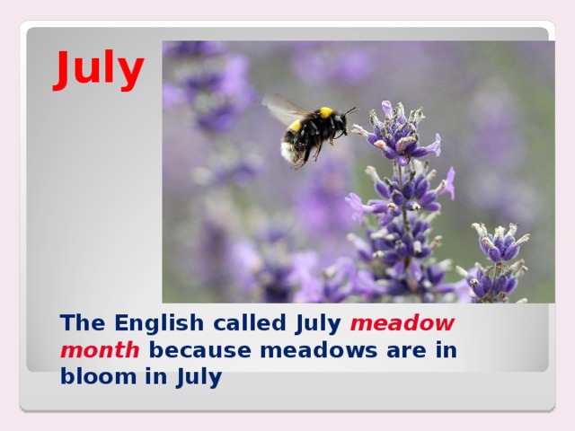 July The English called July meadow month because meadows are in bloom in July 