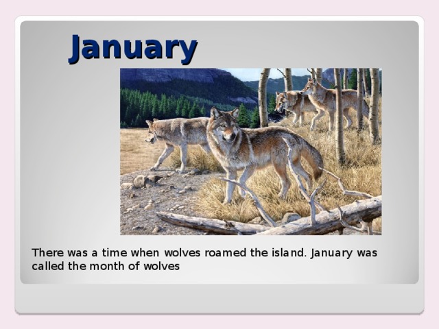 January There was a time when wolves roamed the island. January was called the month of wolves 