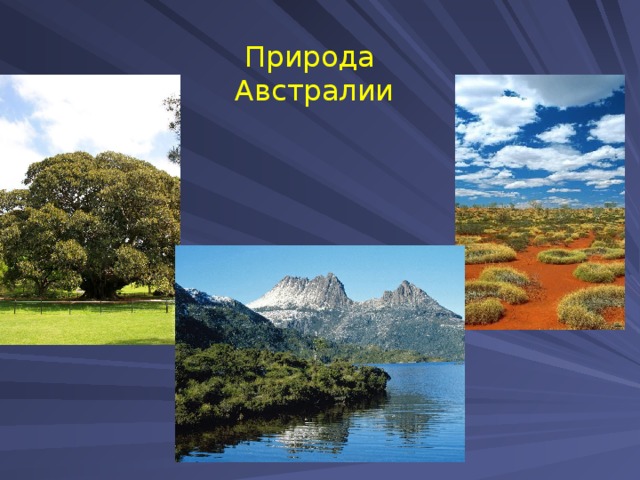 Особенности природных комплексов австралии