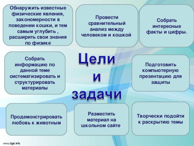 Обнаружить известные физические явления, закономерности в поведении кошки, и тем самым углубить , расширить свои знания по физике Провести сравнительный анализ между человеком и кошкой Собрать интересные факты и цифры. Собрать информацию по данной теме систематизировать и структурировать материалы Подготовить компьютерную презентацию для защиты Творчески подойти к раскрытию темы Продемонстрировать любовь к животным Разместить материал на школьном сайте . 