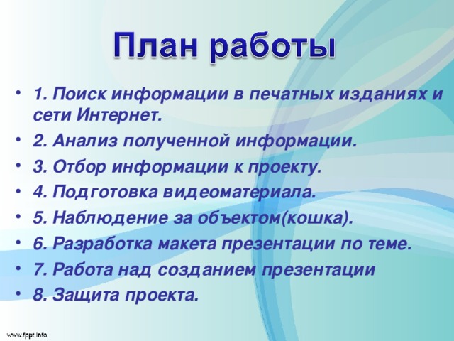 1. Поиск информации в печатных изданиях и сети Интернет. 2. Анализ полученной информации. 3. Отбор информации к проекту. 4. Подготовка видеоматериала. 5. Наблюдение за объектом(кошка). 6. Разработка макета презентации по теме. 7. Работа над созданием презентации 8. Защита проекта. 