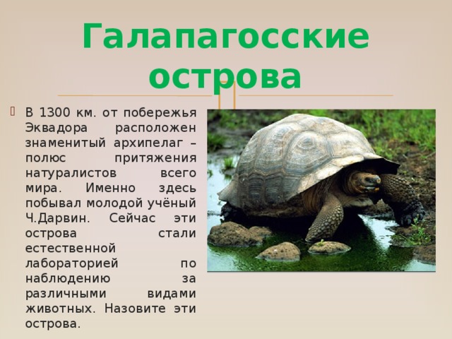 Галапагосские острова В 1300 км. от побережья Эквадора расположен знаменитый архипелаг – полюс притяжения натуралистов всего мира. Именно здесь побывал молодой учёный Ч.Дарвин. Сейчас эти острова стали естественной лабораторией по наблюдению за различными видами животных. Назовите эти острова. 