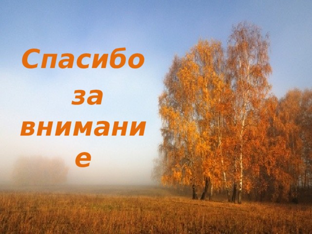 Лесу внимание. Спасибо за внимание береза. Спасибо за внимание лес. Спасибо за внимание Березка. Спасибо за внимание дерево.