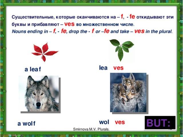 C уществительны e , которые оканчиваются на – f , - fe откидывают эти буквы и прибавляют – ves во множественном числе . Nouns ending in – f , - fe , drop the - f or – fe and take – ves in the plural . lea ves a lea f BUT: wol ves f a wol 11 Smirnova M.V. Plurals. 