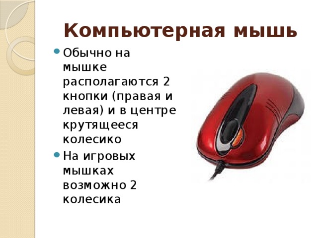 Почему мышь назвали мышью. Средняя кнопка мыши как называется. Как называется колёсико на мышке. Название колесика мыши. Как называется кнопка колесика мыши.