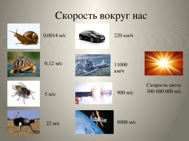 Вокруг скорость