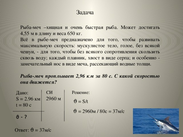 Рыба меч проплывает 2.4 км за 80