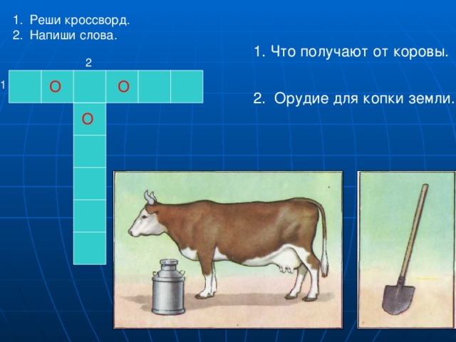Схема слова корова