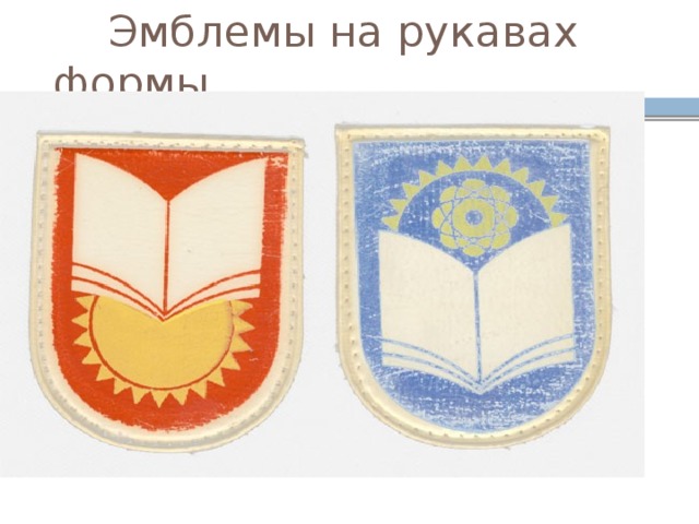  Эмблемы на рукавах формы. 