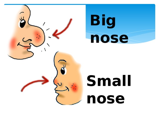 Big nose Small nose 