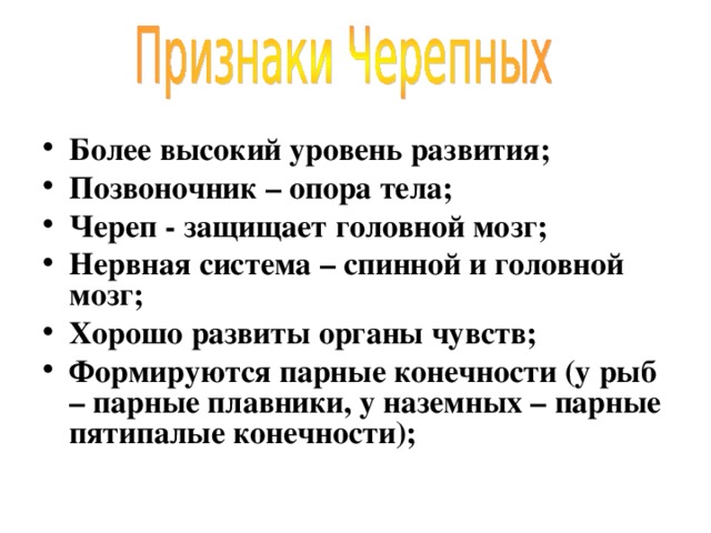 Более высокий уровень развития; Позвоночник – опора тела; Череп - защищает головной мозг; Нервная система – спинной и головной мозг; Хорошо развиты органы чувств; Формируются парные конечности (у рыб – парные плавники, у наземных – парные пятипалые конечности);  