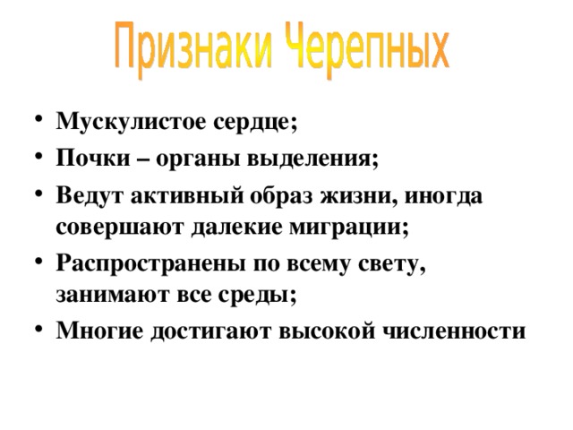 Мускулистое сердце; Почки – органы выделения; Ведут активный образ жизни, иногда совершают далекие миграции; Распространены по всему свету, занимают все среды; Многие достигают высокой численности 