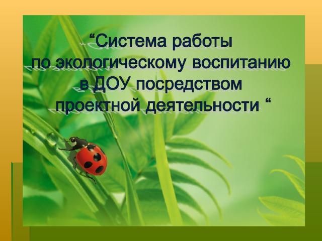 Проект по экологическому воспитанию в доу