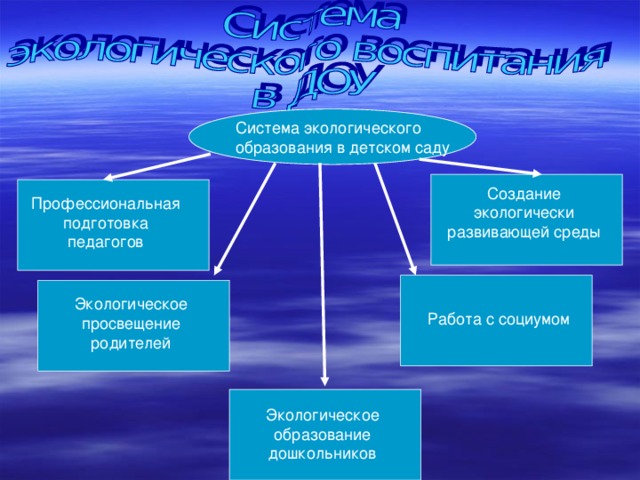 Социальные проекты экологической направленности