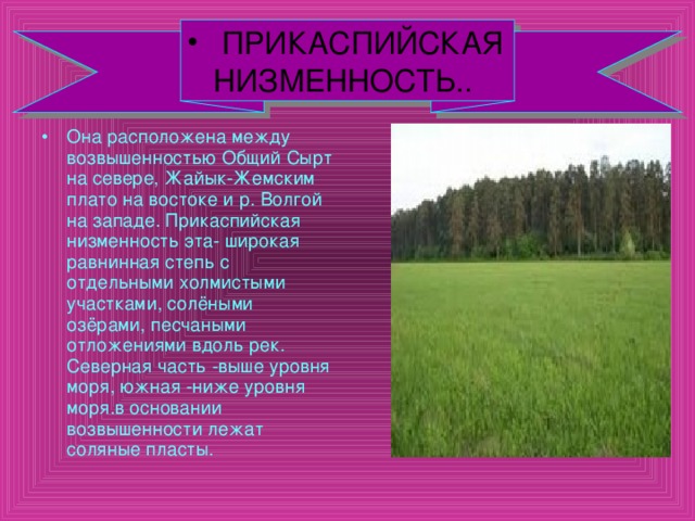 Восточно европейская равнина особенности механического состава почв. Прикаспийская низменн. Прикаспийская низменность описание. Прикаспифская низменнос ь.