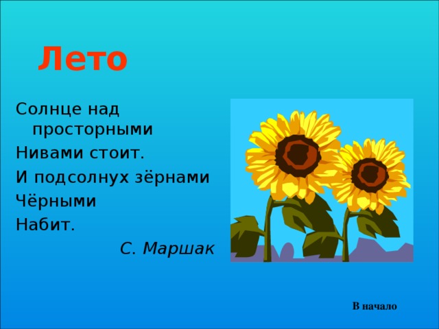 Лето Солнце над просторными Нивами стоит. И подсолнух зёрнами Чёрными Набит. С. Маршак В начало 