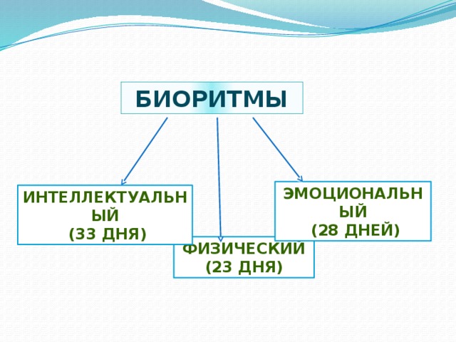 Биоритмы Эмоциональный  (28 дней) Интеллектуальный  (33 дня) ФИЗИЧЕСКИй (23 дня) 
