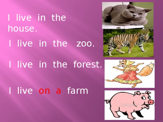 I live in the house. I live in the zoo. I live in the forest. I live on a farm 