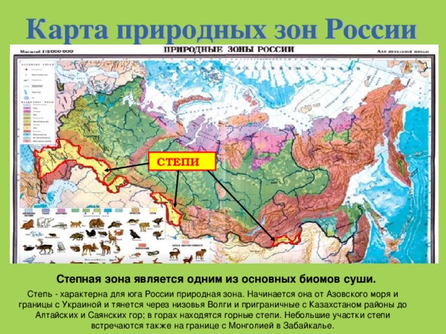 Какие территории россии занимает зона степи. Степная зона России на карте. Расположение зоны степей. Степи на карте России. Степи на карте России природных зон.