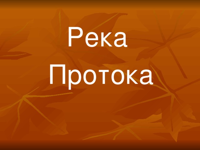 Река Протока 