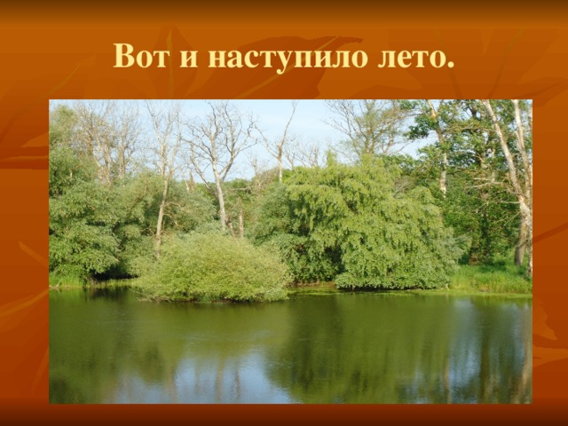 Вот и наступило лето. 