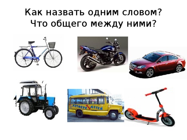 Как назвать одним словом?  Что общего между ними? 