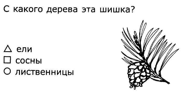 Ели как проверить и. Что такое хвоинки 1 класс задания. Задания про шишки ели и сосны. Листья и хвоинки задание. Дорисуй хвоинки ели и сосны.