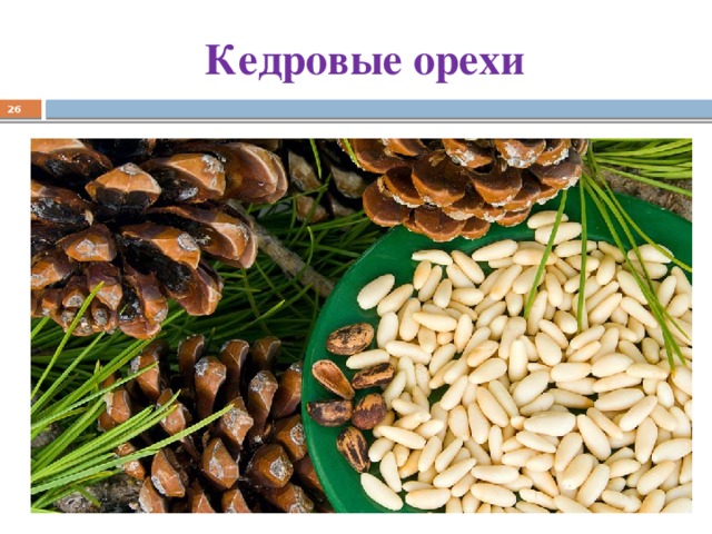 Кедровые орехи  