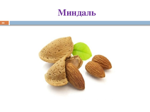 Миндаль  