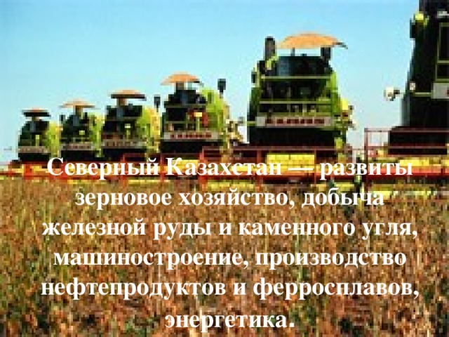 Северный Казахстан — развиты зерновое хозяйство, добыча железной руды и каменного угля, машиностроение, производство нефтепродуктов и ферросплавов, энергетика . 