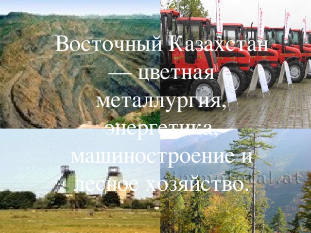 Восточный Казахстан — цветная металлургия, энергетика, машиностроение и лесное хозяйство. 