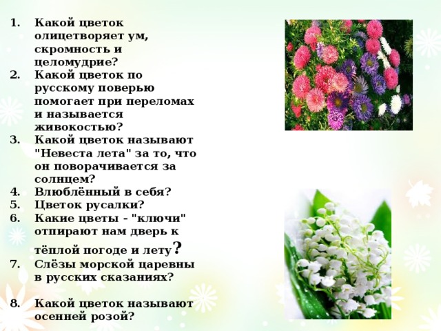 Какой цветок олицетворяет ум, скромность и целомудрие? Какой цветок по русскому поверью помогает при переломах и называется живокостью? Какой цветок называют 