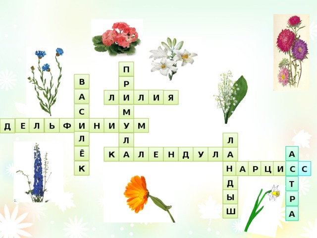 П В  Р А И Л И  Л  Я   С М  Е М У Ь Л Ф И Н И Д Л Л Л  Ё А А У К Е Л Д Н Л А К Н Ц С И С А Р Д Т  Ы Р Ш А 