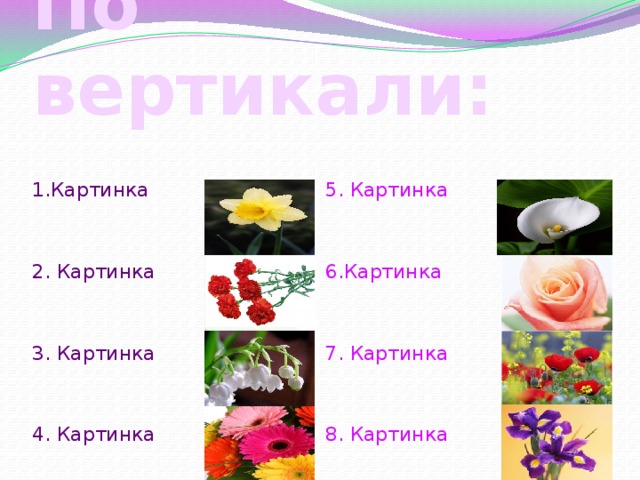 По вертикали: 5. Картинка 1.Картинка 6.Картинка 2. Картинка 7. Картинка 3. Картинка 4. Картинка 8. Картинка 