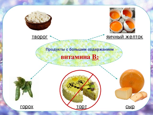 творог  яичный желток  горох  торт  сыр Продукты с большим содержанием  витамина В 2 