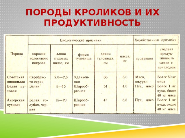 Технологии разведения животных 8 класс технология презентация