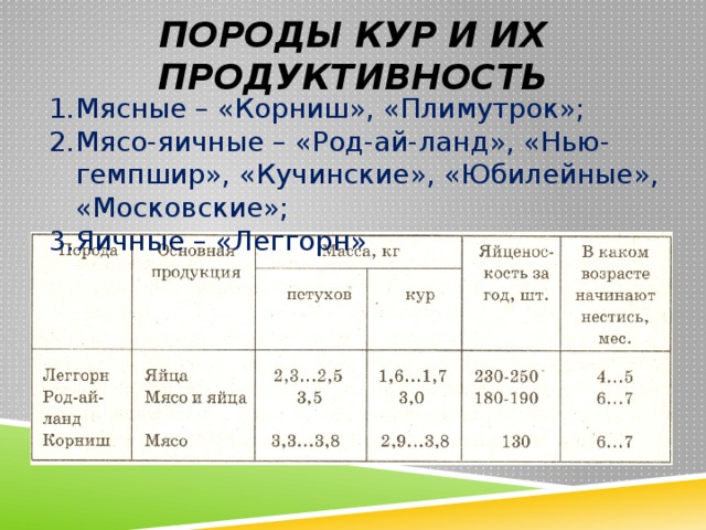 Породы кур и их продуктивность Мясные – «Корниш», «Плимутрок»; Мясо-яичные – «Род-ай-ланд», «Нью-гемпшир», «Кучинские», «Юбилейные», «Московские»; Яичные – «Леггорн» 