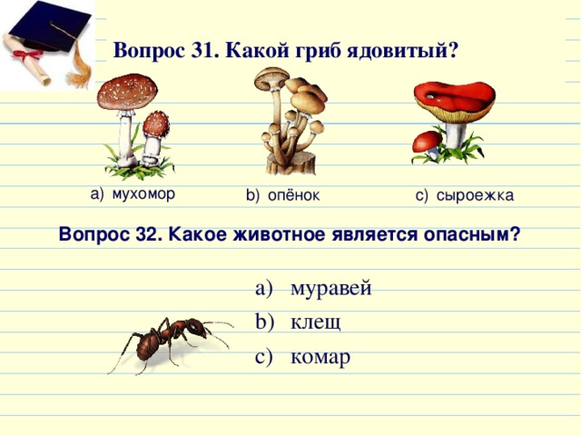 Падеж слова грибы. Какие грибы являются не являются ядовитыми. Вопросы про опят. Вопрос грибы какие. Тест какой ты гриб.