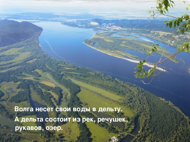  Волга несет свои воды в дельту.  А дельта состоит из рек, речушек, рукавов, озер.  