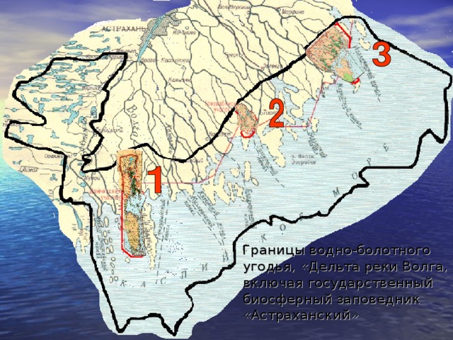  Границы водно-болотного угодья, «Дельта реки Волга, включая государственный биосферный заповедник «Астраханский» 