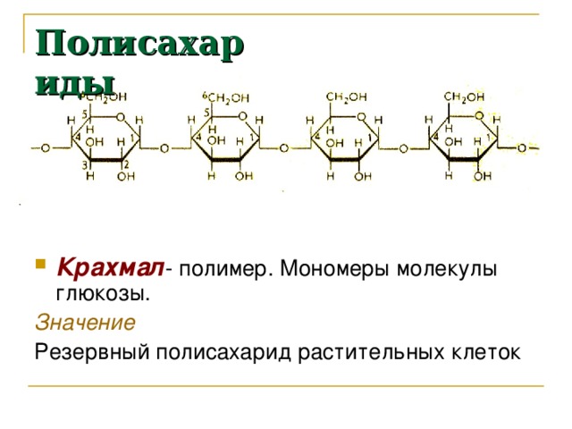 Полисахариды Крахмал - полимер. Мономеры молекулы глюкозы. Значение Резервный полисахарид растительных клеток 