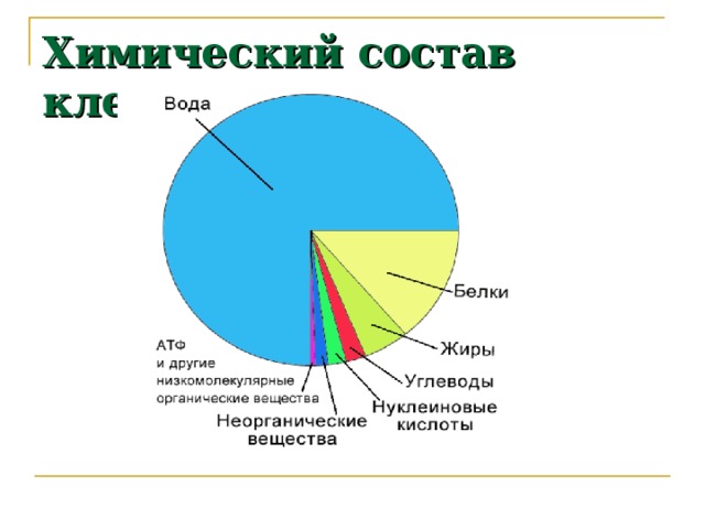 Химический состав клетки 