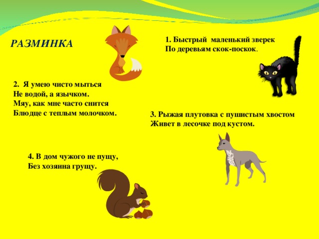1. Быстрый маленький зверек По деревьям скок-поскок . РАЗМИНКА 2. Я умею чисто мыться Не водой, а язычком. Мяу, как мне часто снится Блюдце с теплым молочком. 3. Рыжая плутовка с пушистым хвостом Живет в лесочке под кустом. 4. В дом чужого не пущу, Без хозяина грущу. 