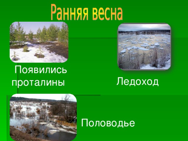 Что появляется весной