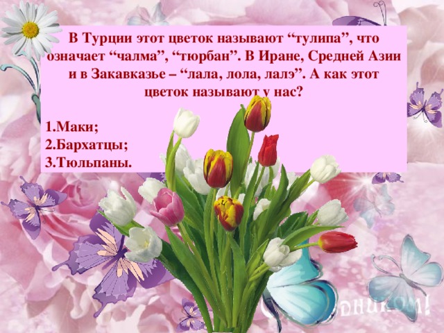 В Турции этот цветок называют “тулипа”, что означает “чалма”, “тюрбан”. В Иране, Средней Азии и в Закавказье – “лала, лола, лалэ”. А как этот цветок называют у нас?  Маки; Бархатцы;   Тюльпаны. Примечание : для выхода ответа, кликните мышкой на свободном поле.  