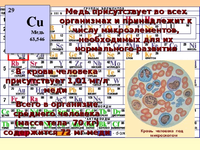 Медь присутствует во всех организмах и принадлежит к числу микроэлементов, необходимых для их нормального развития В крови человека присутствует 1,01 мг/л меди Всего в организме среднего человека (масса тела 70 кг) содержится 72 мг меди 