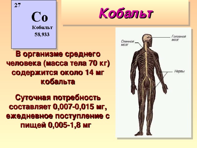 Роль в организме человека. Функции кобальта в организме человека. Кобальт микроэлемент его роль в организме человека. Роль кобольт в организме человека. Кольбальт роль в организме человека.