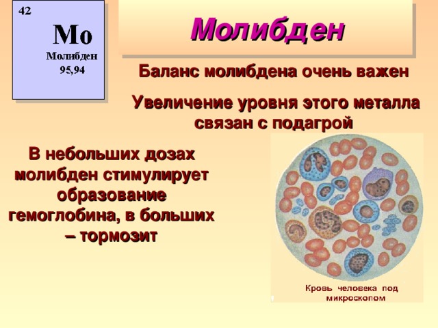 Молибден Баланс молибдена очень важен  Увеличение уровня этого металла связан с подагрой В небольших дозах молибден стимулирует образование гемоглобина, в больших – тормозит 