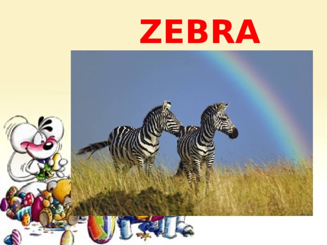 ZEBRA 